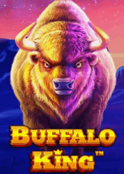 Buffalo King