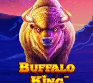 Buffalo King